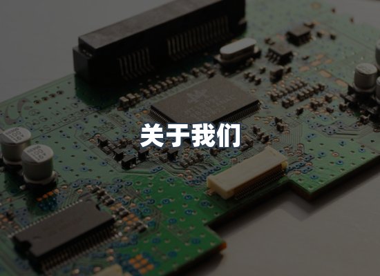 专业团队